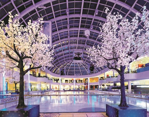 Ice Palace