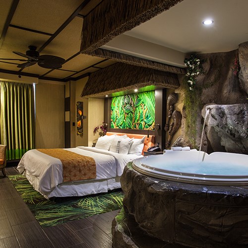 Luxury Hollywood Theme Room Luxury Hollywood Theme Room