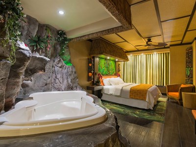 Theme Rooms Fantasyland Hotel