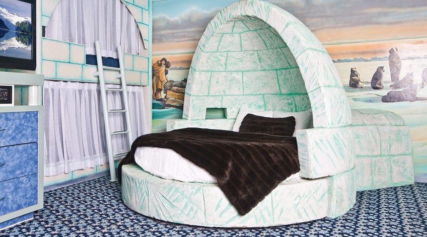 Luxury Igloo Theme Room