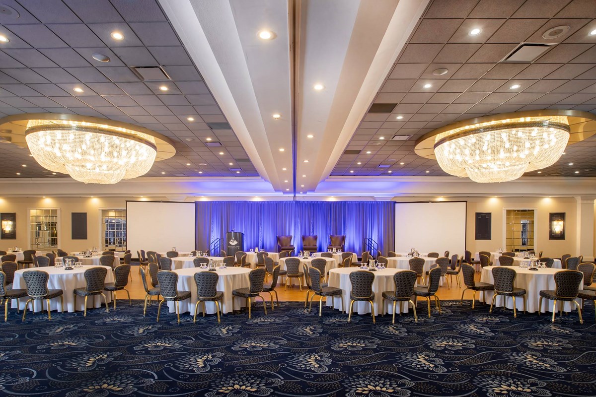 Meetings and Conferences