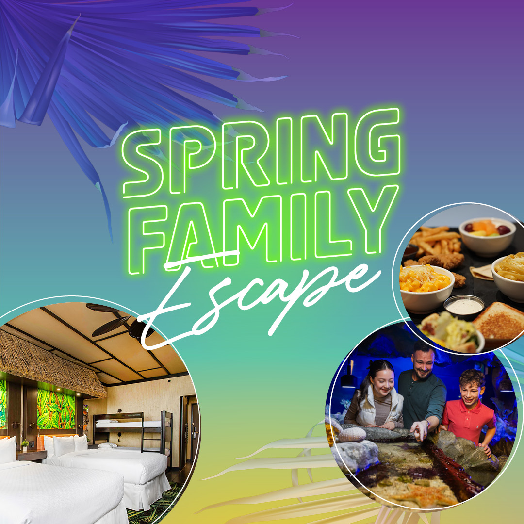 Spring Family Escape