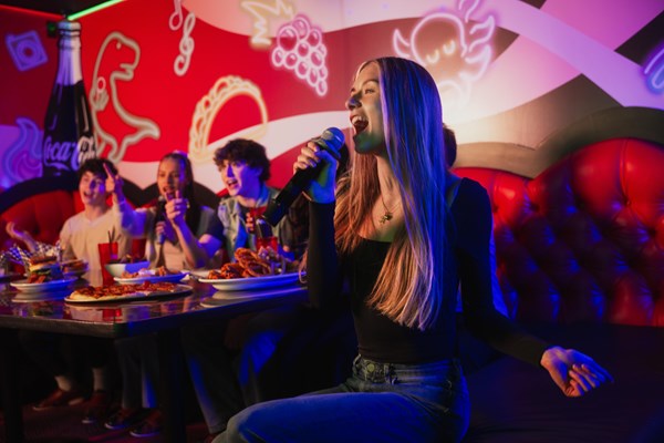 Ed's Karaoke